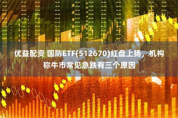 优益配资 国防ETF(512670)红盘上扬，机构称牛市常见急跌有三个原因