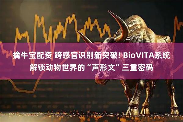 擒牛宝配资 跨感官识别新突破! BioVITA系统解锁动物世界的“声形文”三重密码