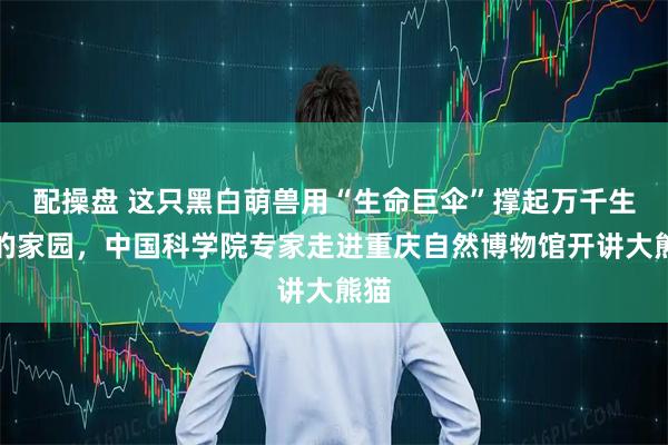 配操盘 这只黑白萌兽用“生命巨伞”撑起万千生灵的家园，中国科学院专家走进重庆自然博物馆开讲大熊猫