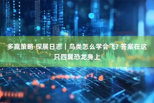 多赢策略 探展日志｜鸟类怎么学会飞? 答案在这只四翼恐龙身上